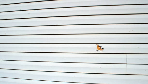 Best Weatherproofing and Sealing  in Liberty Corner, NJ